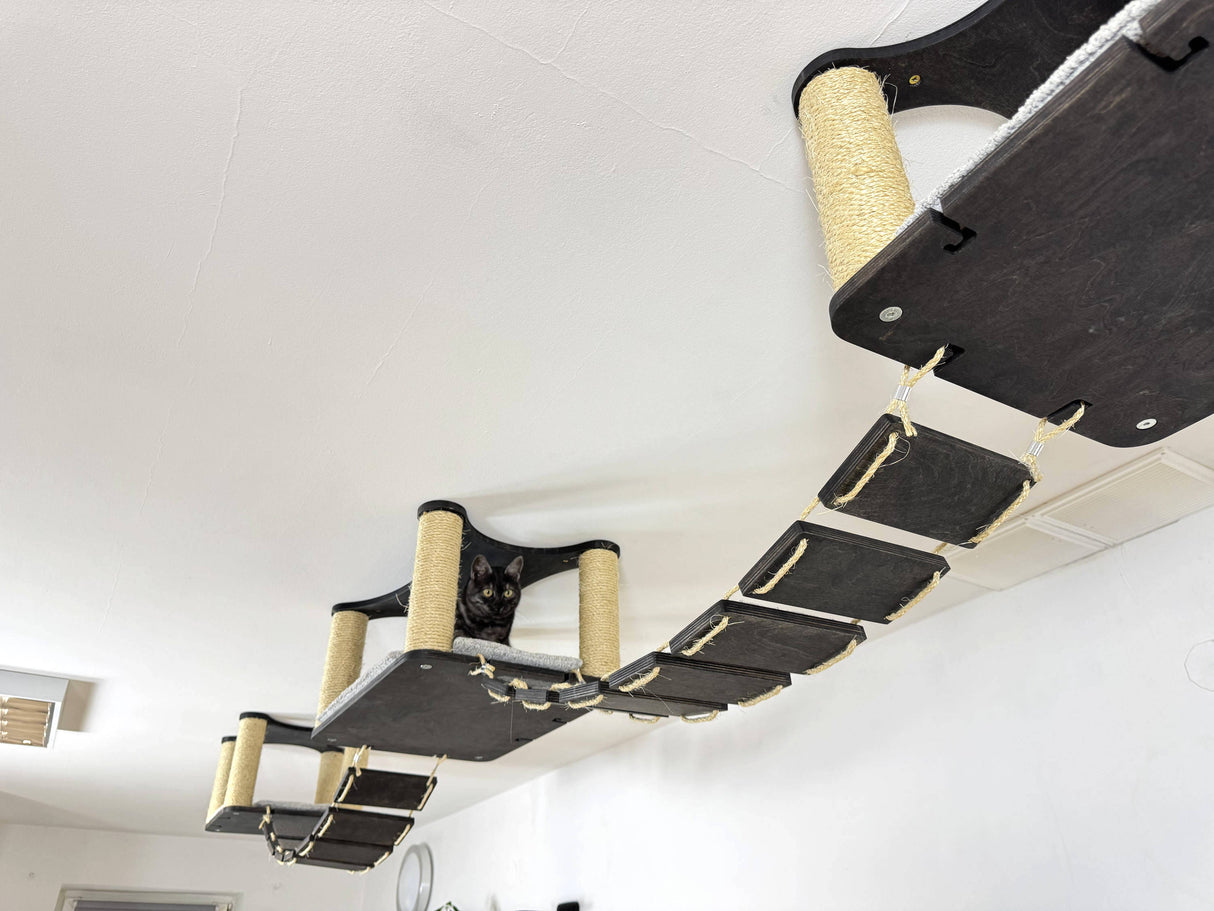 Modern Cat Wall & Ceiling Furniture