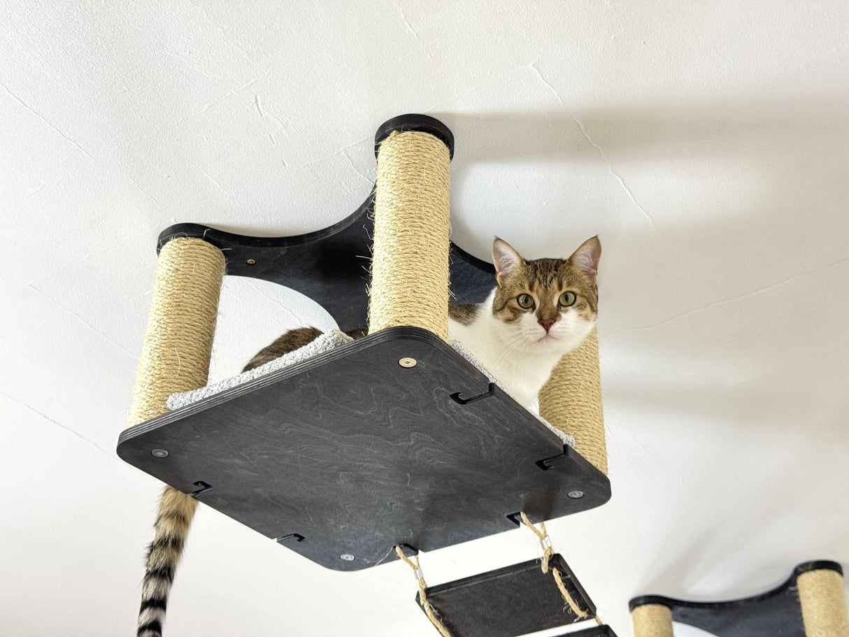 Wood Cat Wall Furniture