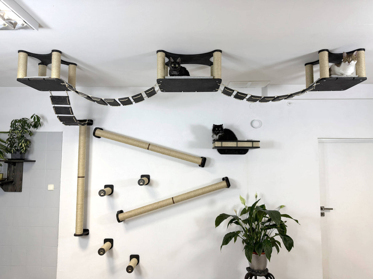 Luxury Cat Wall & Ceiling Complex
