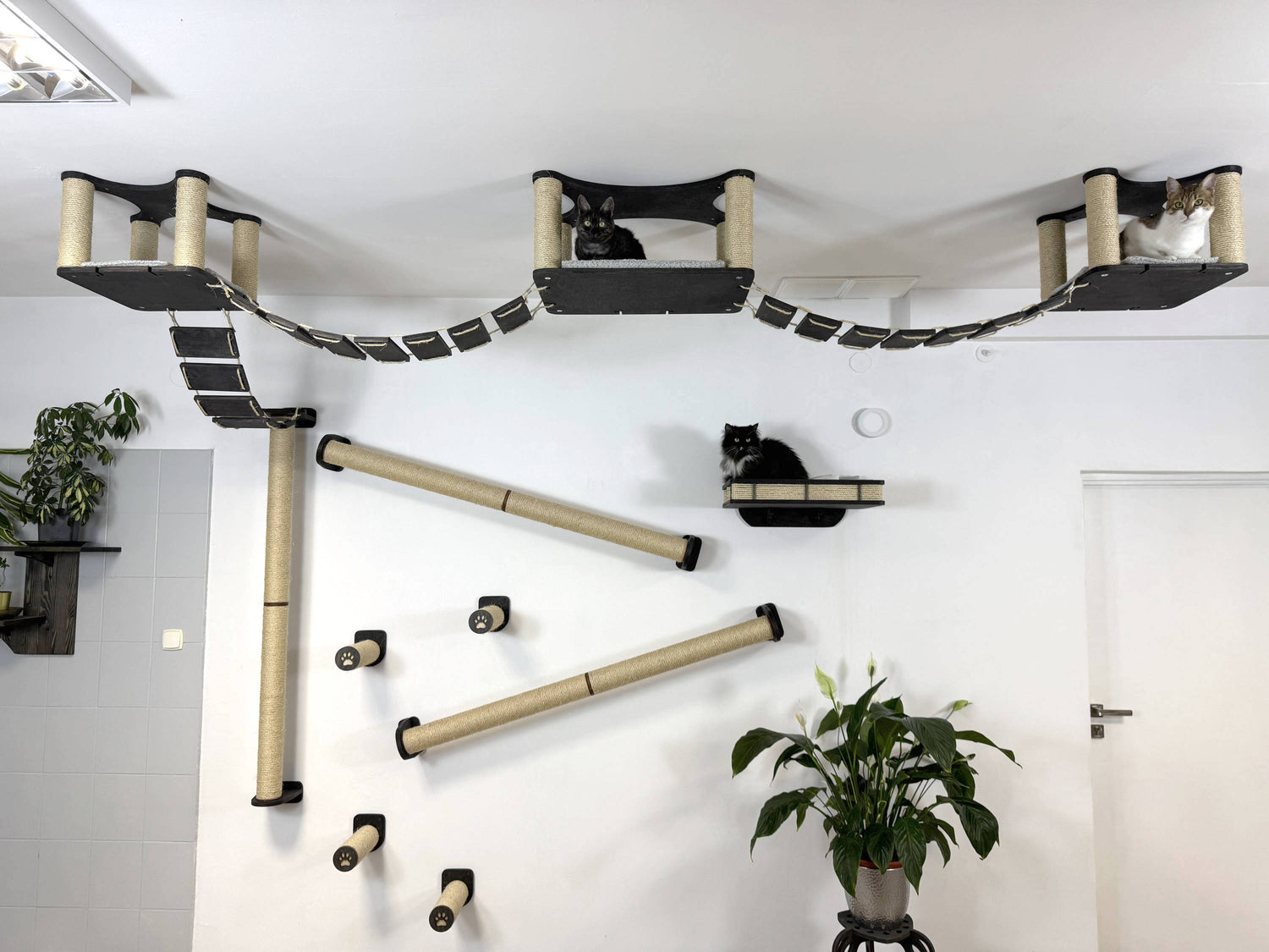 Luxury Cat Wall & Ceiling Complex