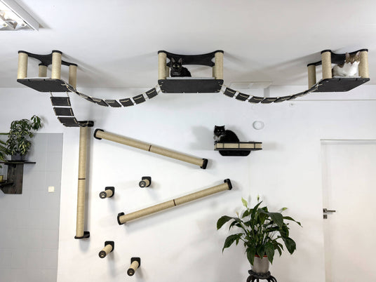 Luxury Cat Wall & Ceiling Complex