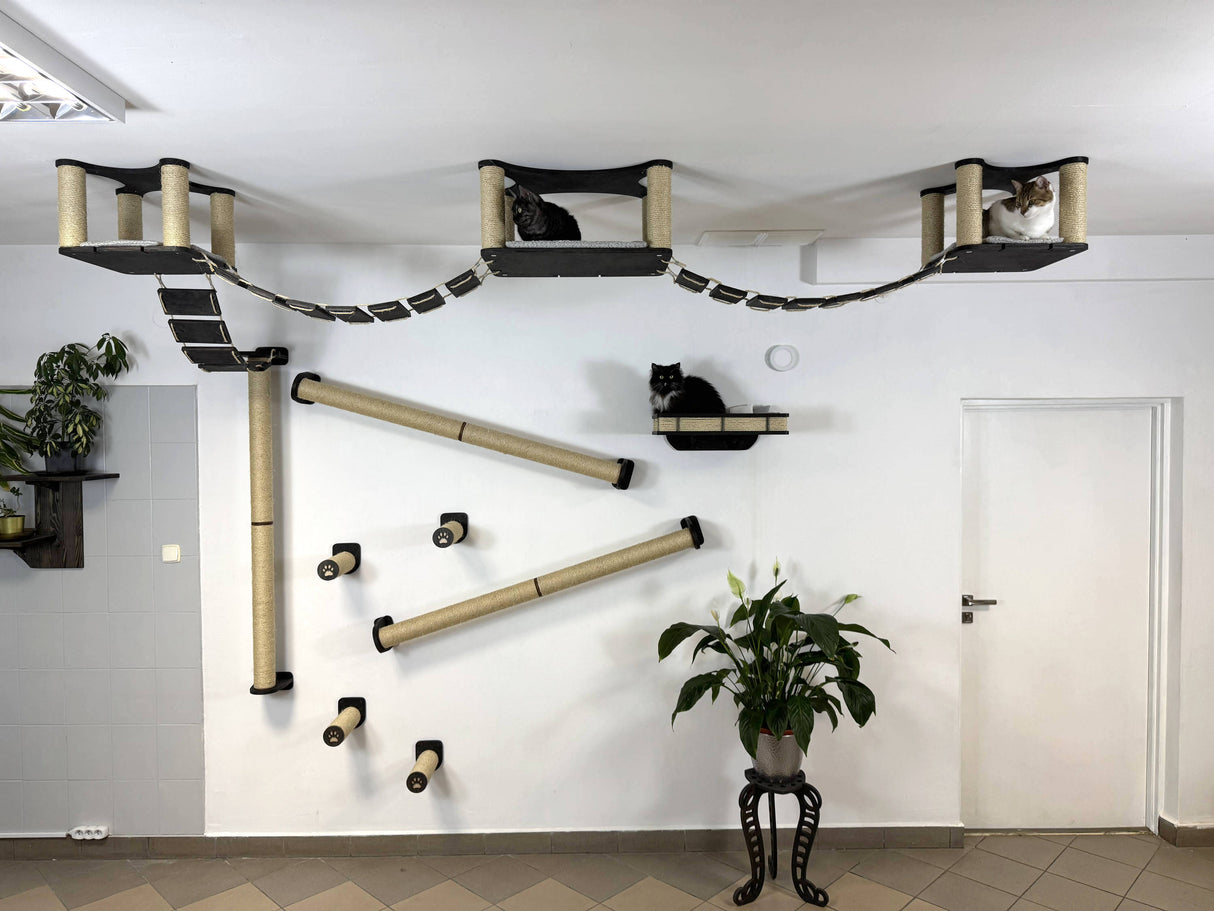 Ultimate Cat Climbing System