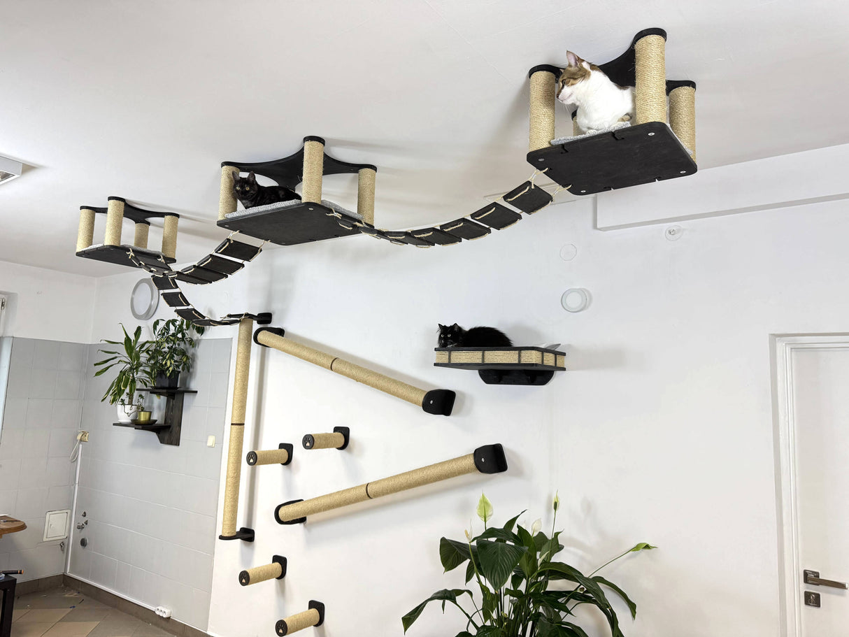 Modern Wood & Sisal Cat Furniture