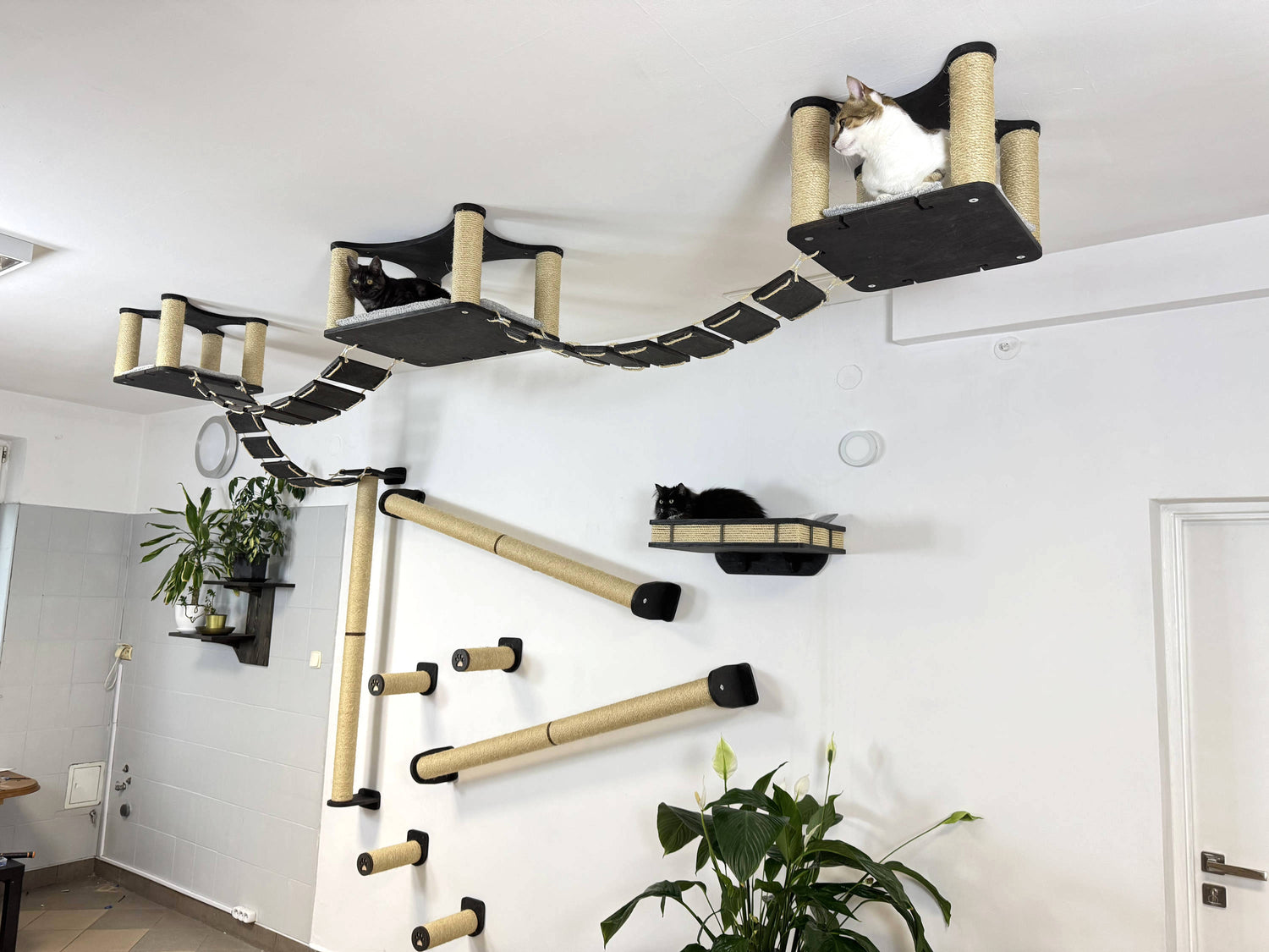 Modern Wood & Sisal Cat Furniture