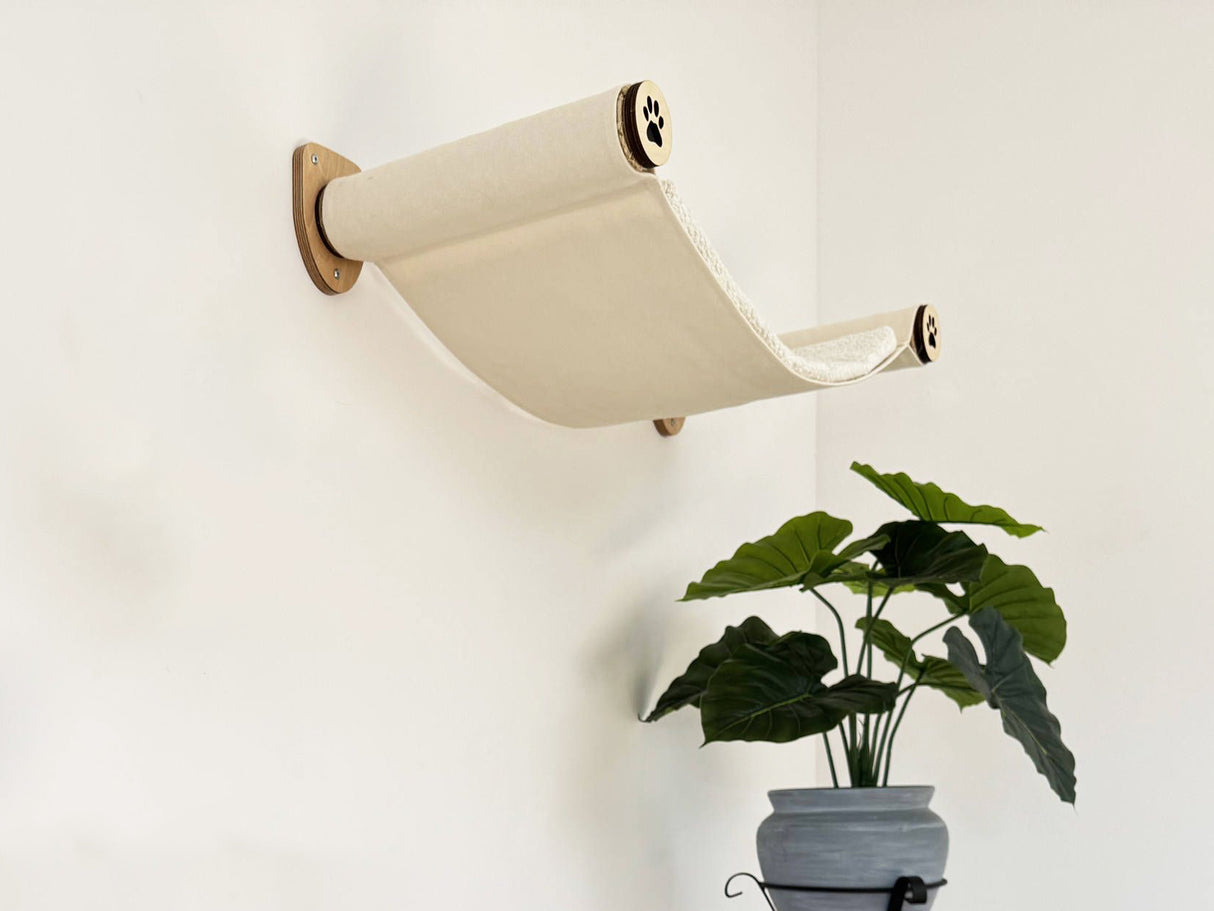 Wall-mounted cat shelf with a plant on a white background