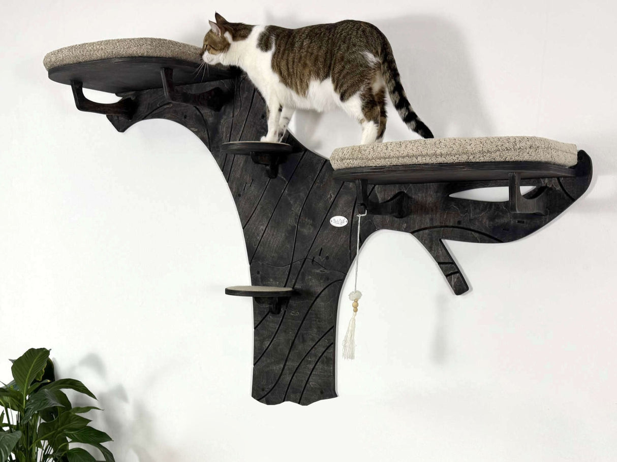 Cat climbing a wall-mounted cat tree with a white background