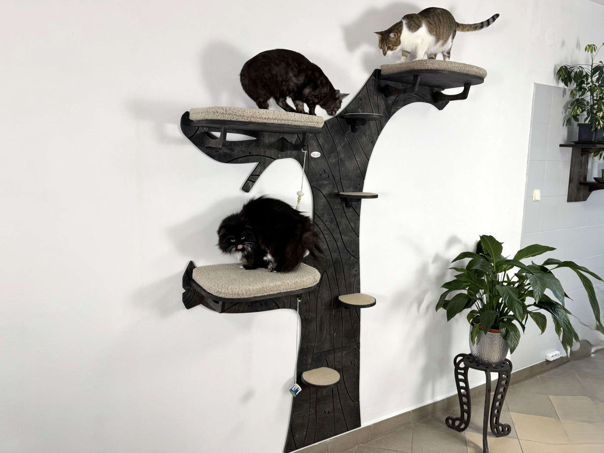 Cat tree with multiple levels and cats on a white wall background