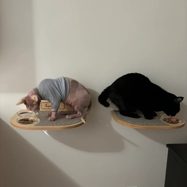 Light plywood cat shelf with left-positioned feeding bowls and soft beige fabric pad for resting.