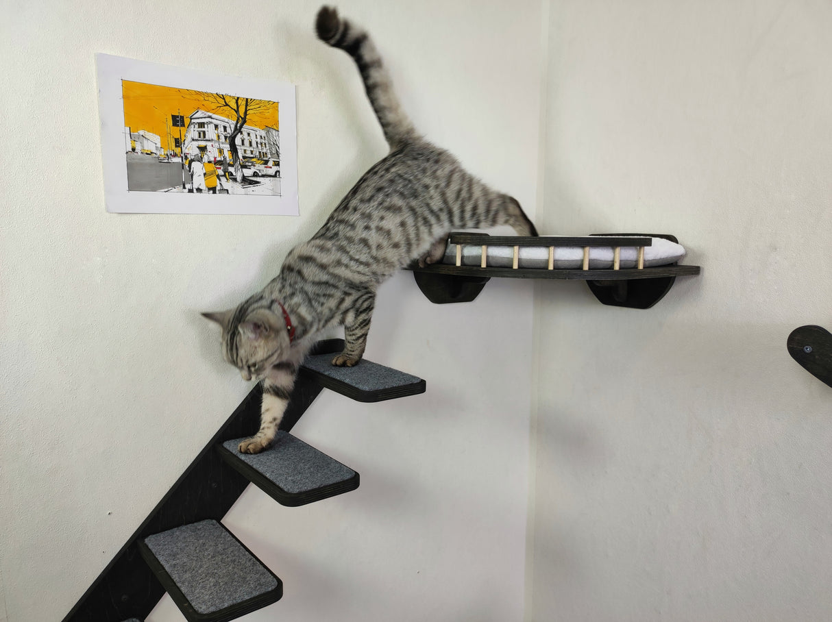 Modular Cat Wall Furniture – Stairs, Shelf & Wave Bridge