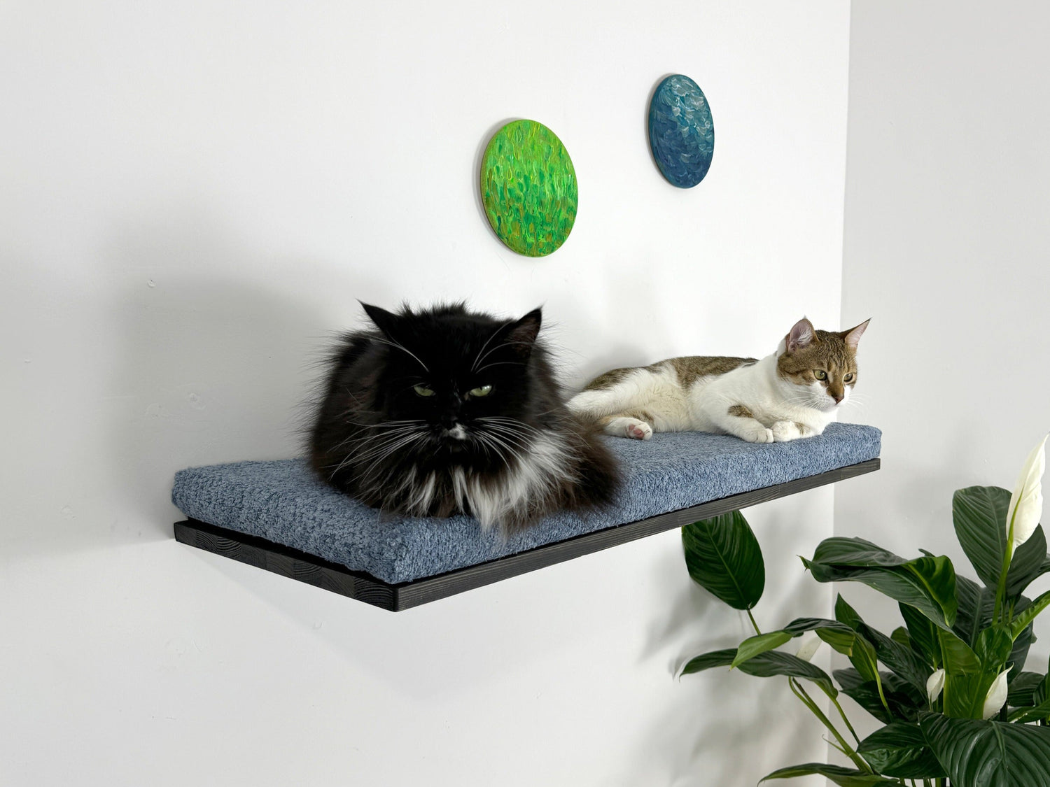 Wooden Large Cat Floating Bed with Soft Cushion