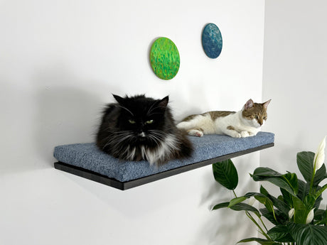 Wooden Large Cat Floating Bed with Soft Cushion
