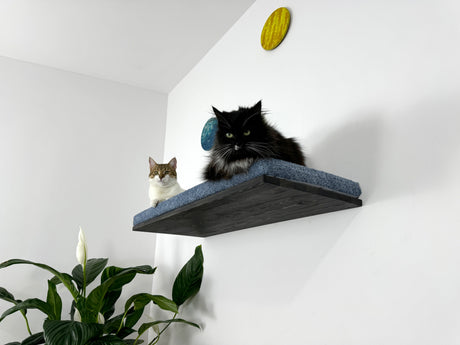 Durable wooden floating cat bed for big cats with a soft cushion