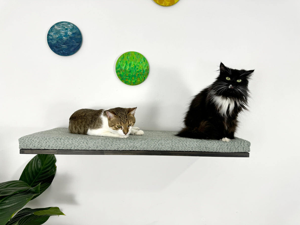 Large Sturdy Wall Cat Shelf for Two Cats