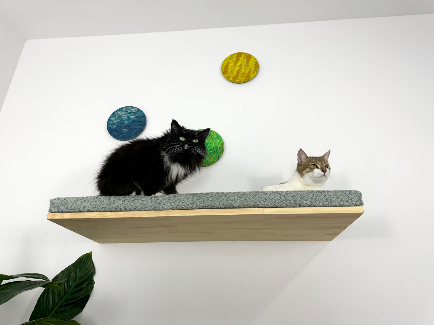 Cat Wall Shelf For Large Cats - natural color