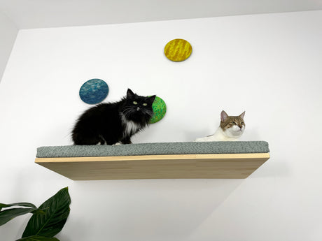 Cat Wall Shelf For Large Cats - natural color