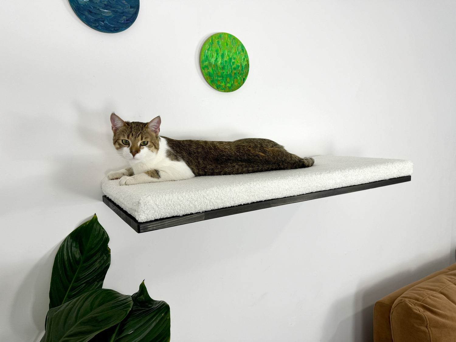 Cat Wall Shelf For Large Cats