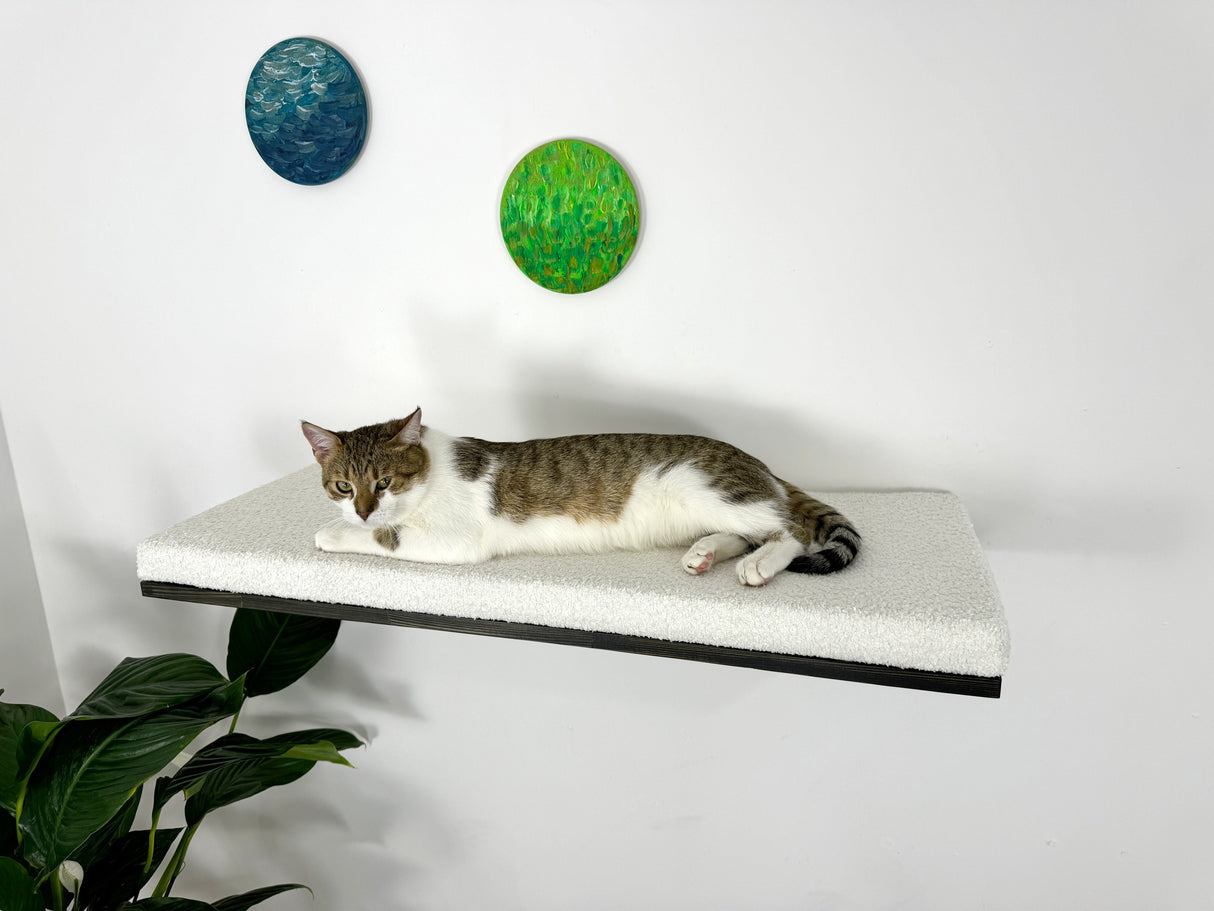 Cat Wall Shelf For Large Cats - dark wood with white cushion