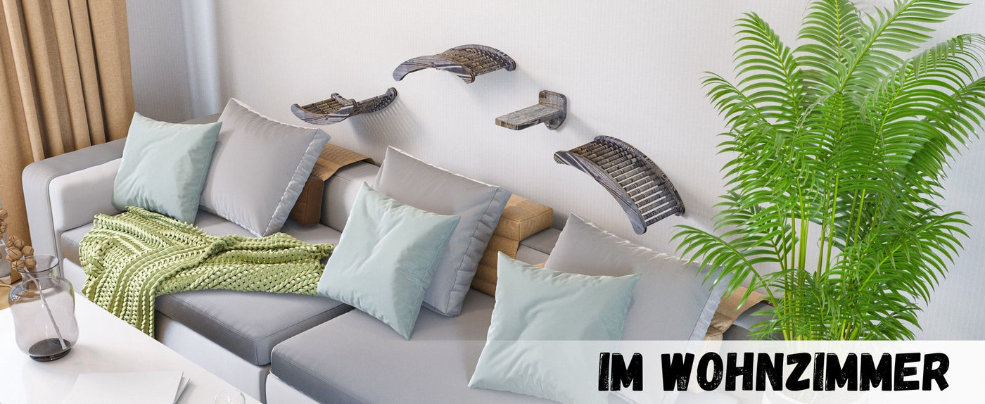 katzen bett