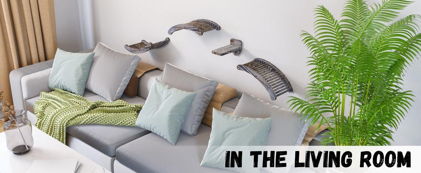 best cat shelves