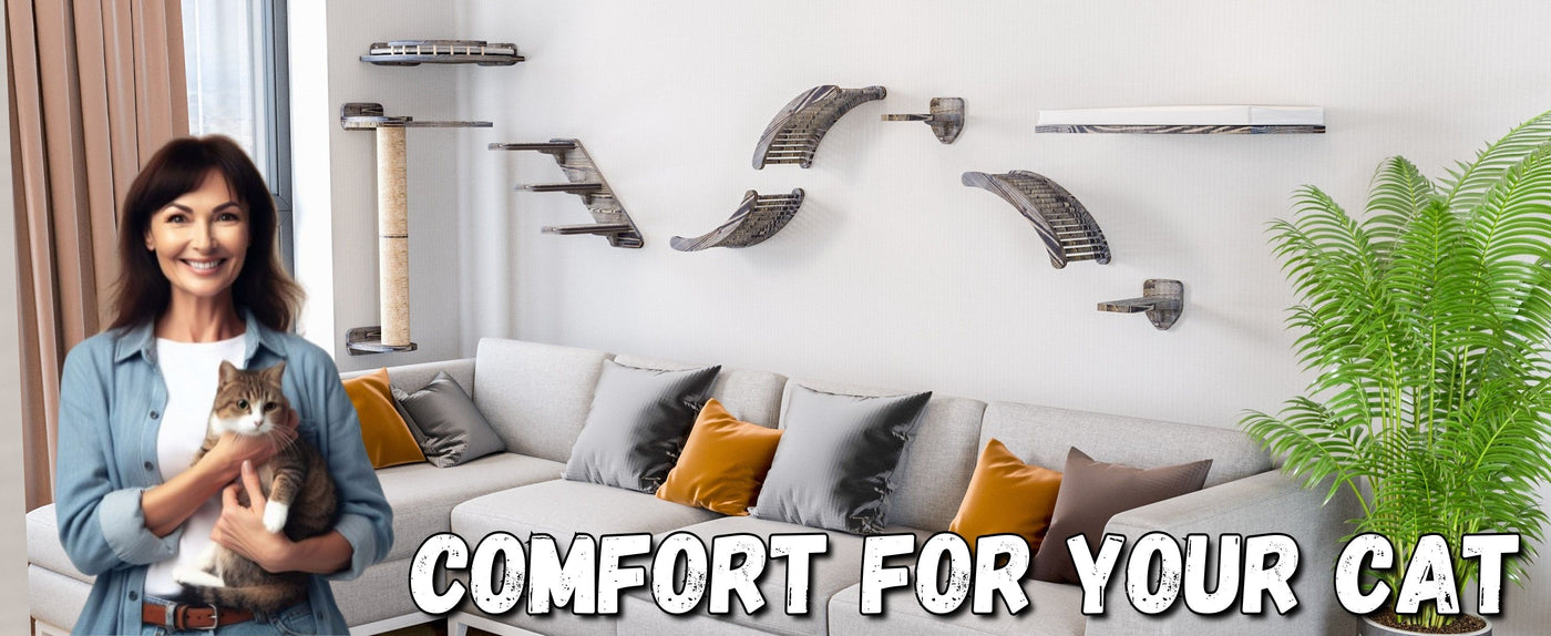 wall mounted cat shelves