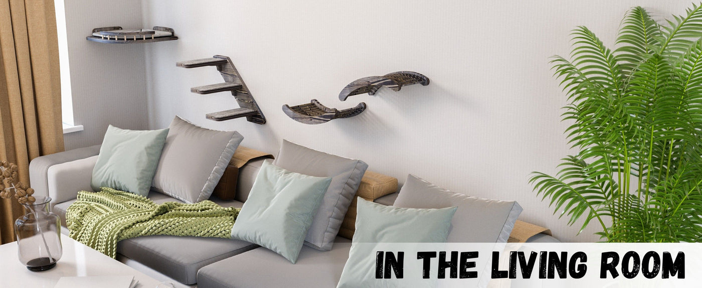wall shelves for cats