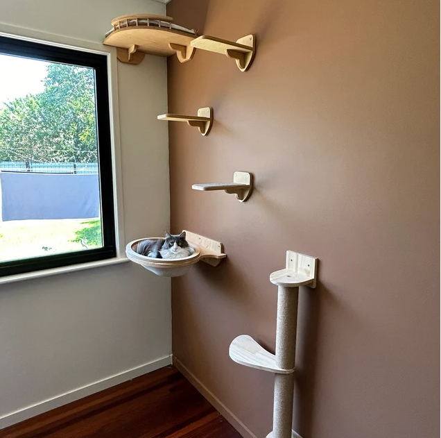 cat shelves on wall
