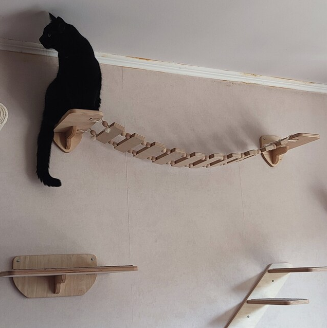 cat bridges in house