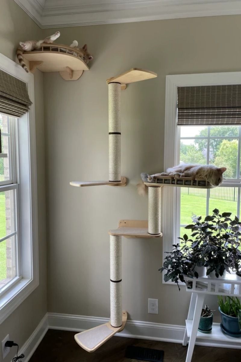 Cat tree with multiple levels and perches in a room with windows and a plant.