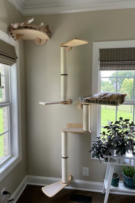 Cat tree with multiple levels and perches in a room with windows and a plant.