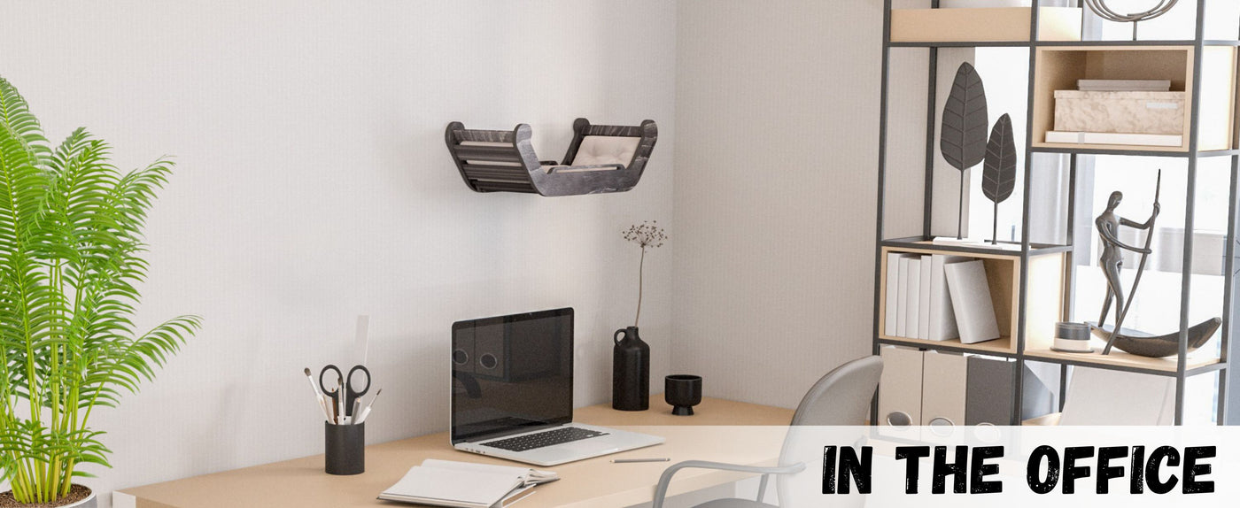 Modern office desk with laptop, books, and cat bed.