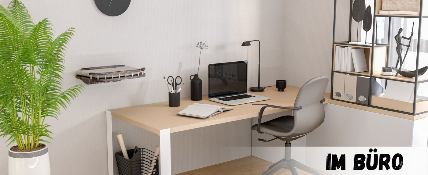 katzen wand klettern