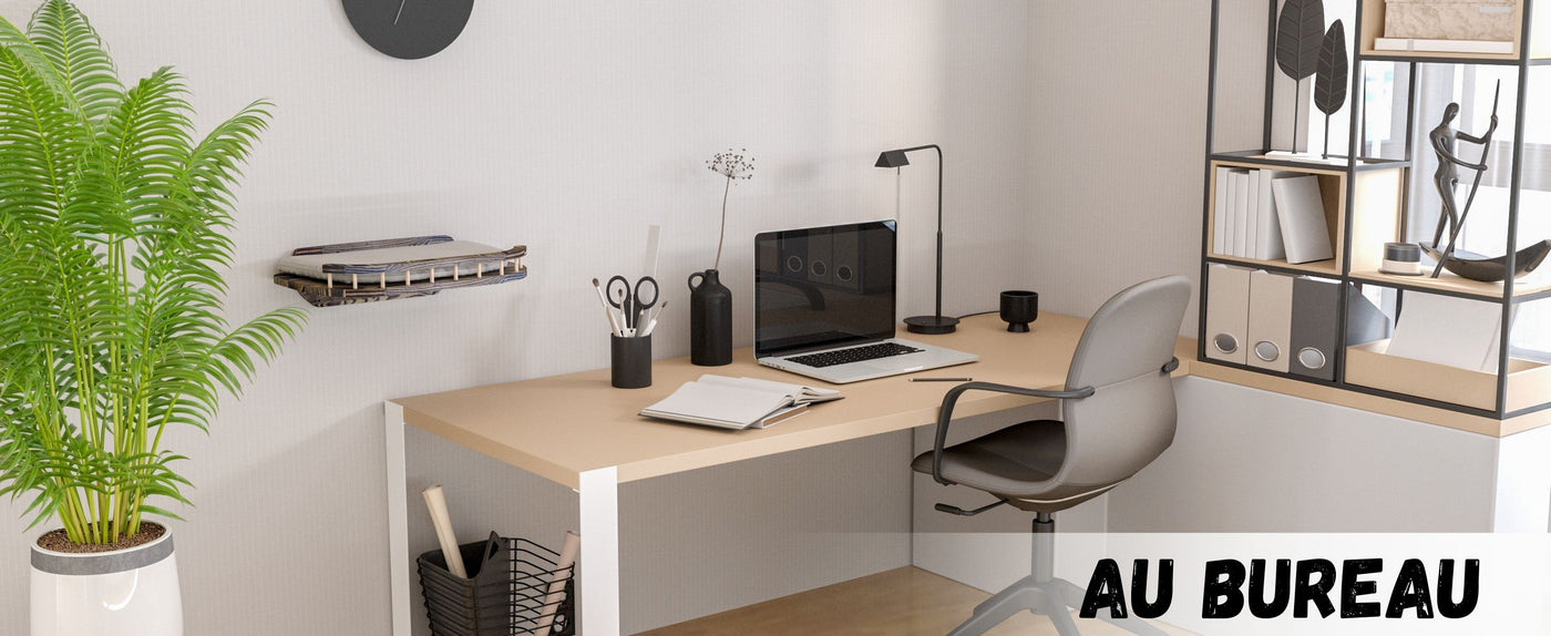 chats grimpant aux murs