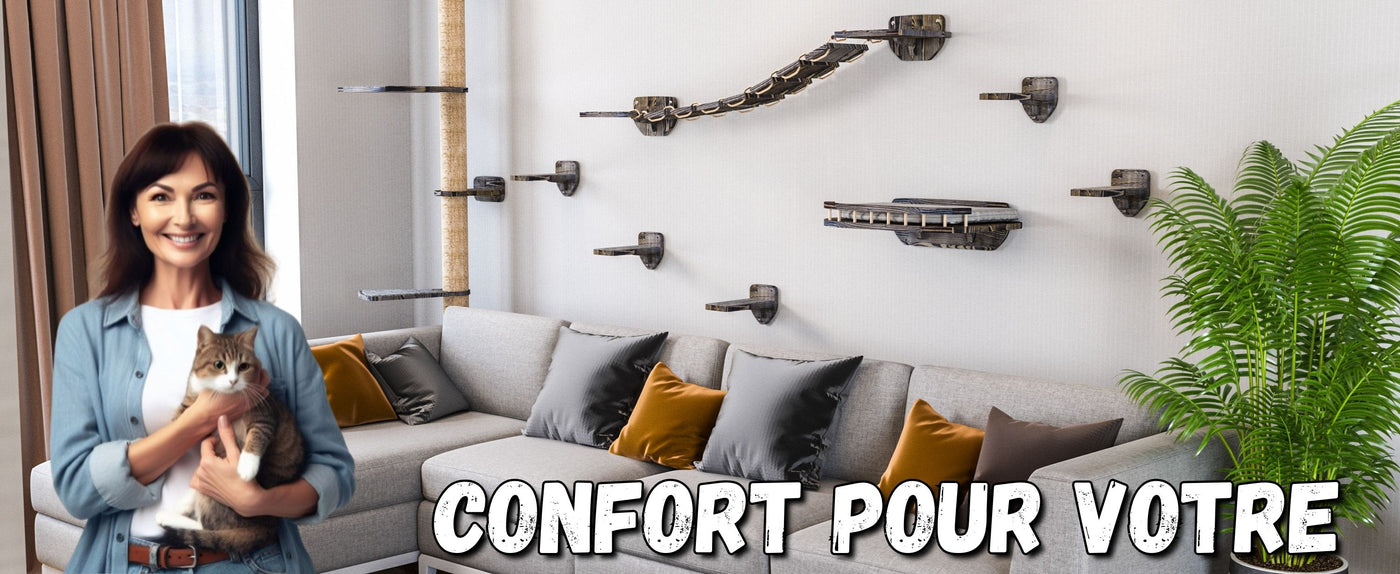 endroit pour dormir pour chat