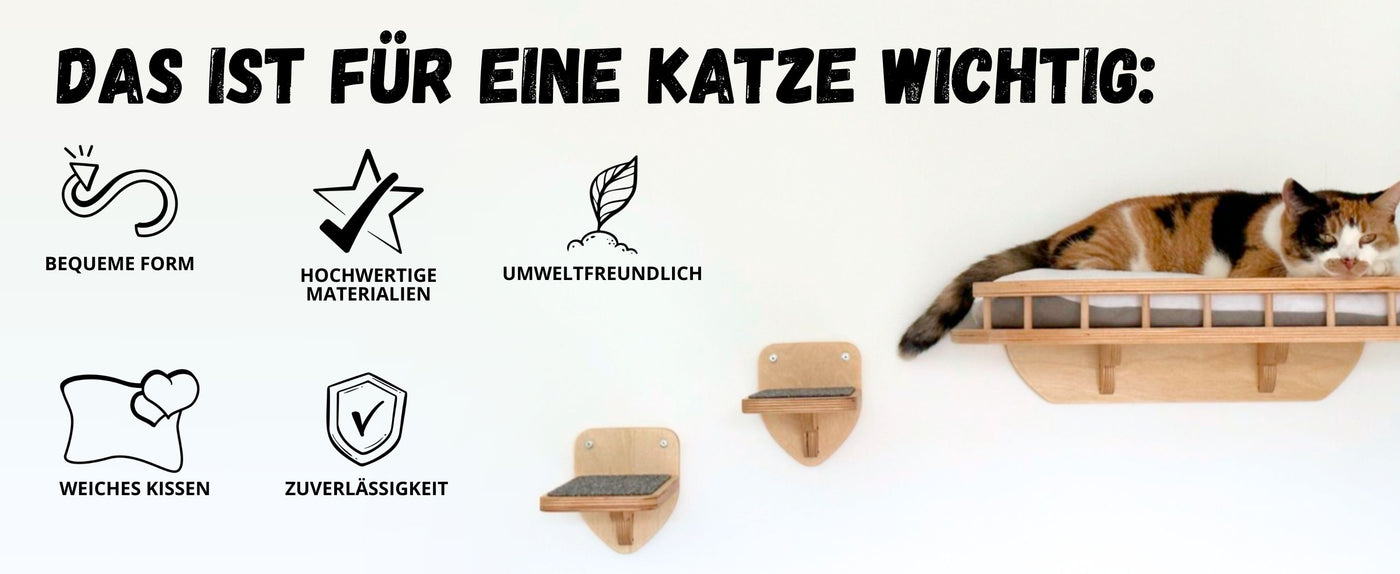 kletterwand katzen