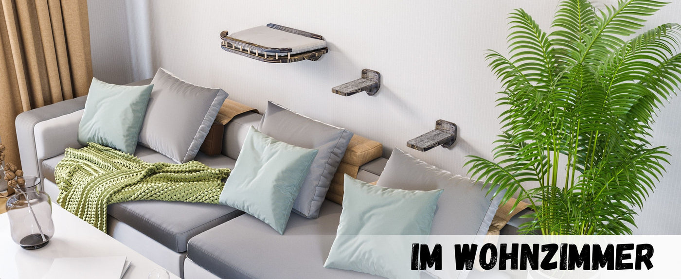 katzen kletterwand set