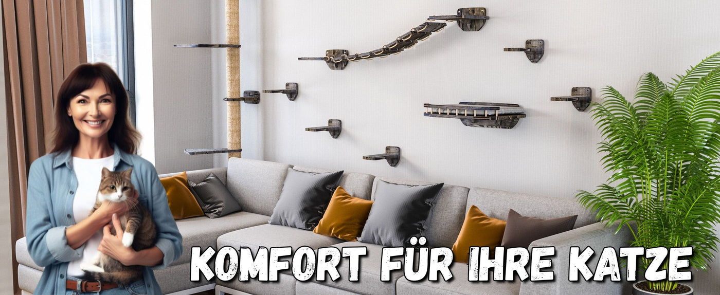 katzen bett