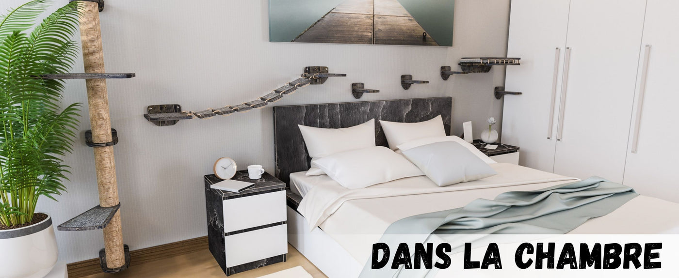 escaliers pour chats