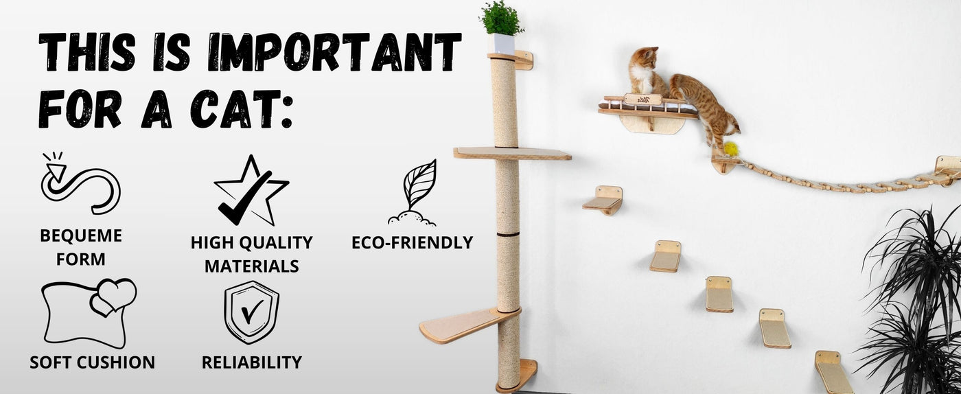 cat bridge