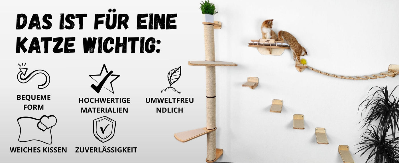 katzenbett