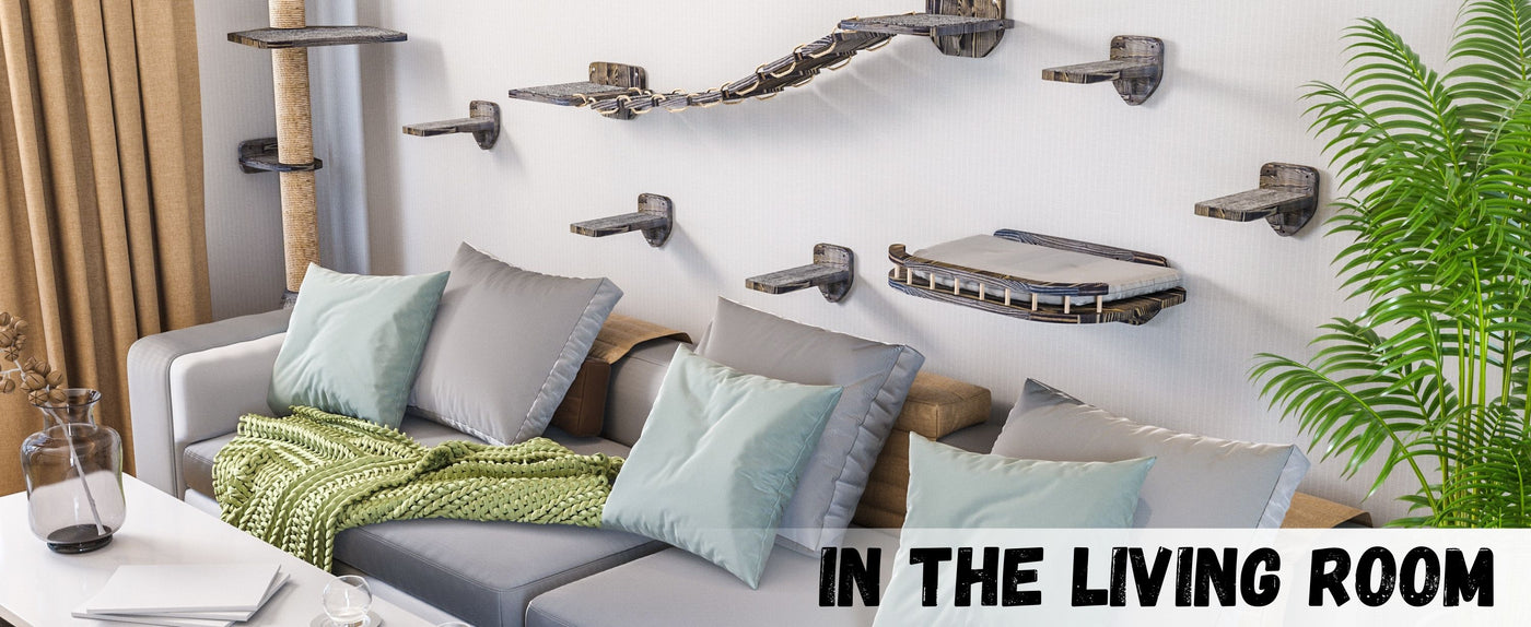 wall mounted cat shelves