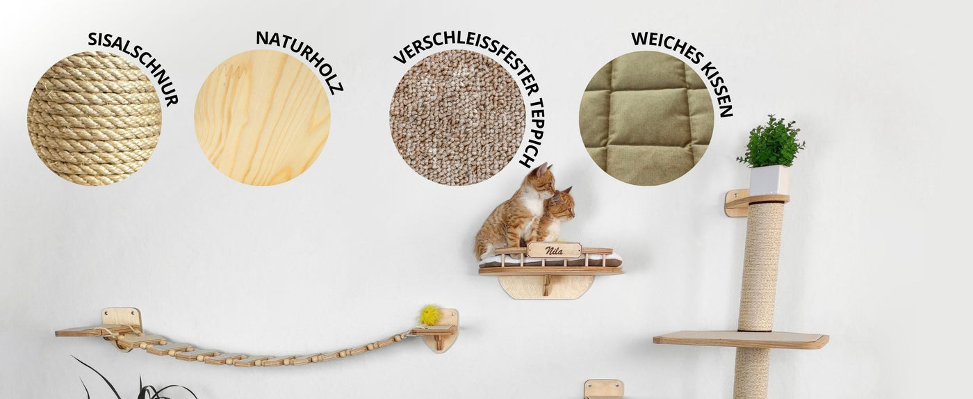 kletterwand katzen