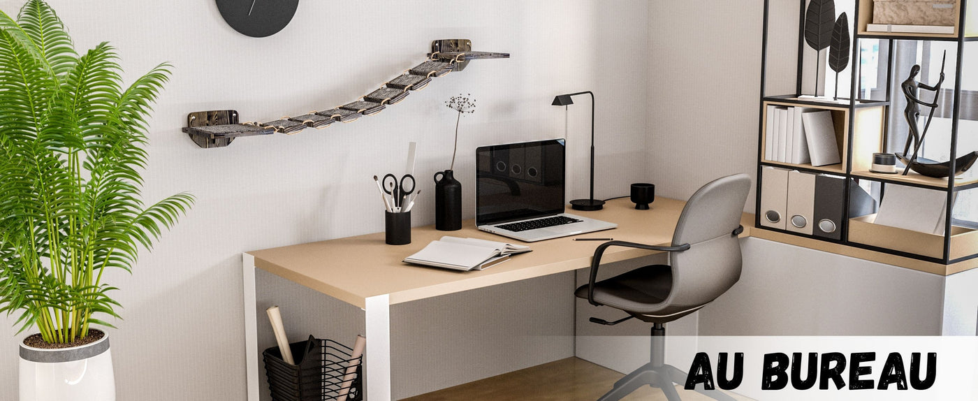 mur d'escalade pour chat