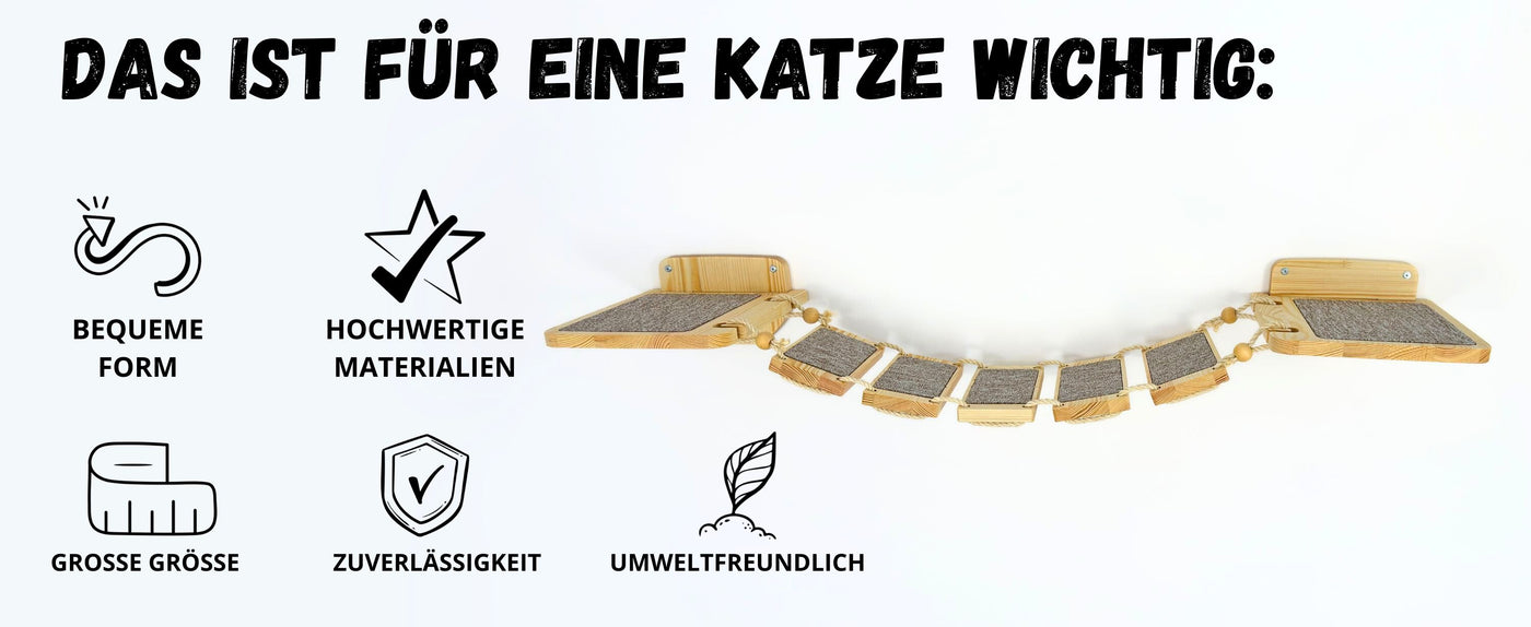 kletterwand katzen