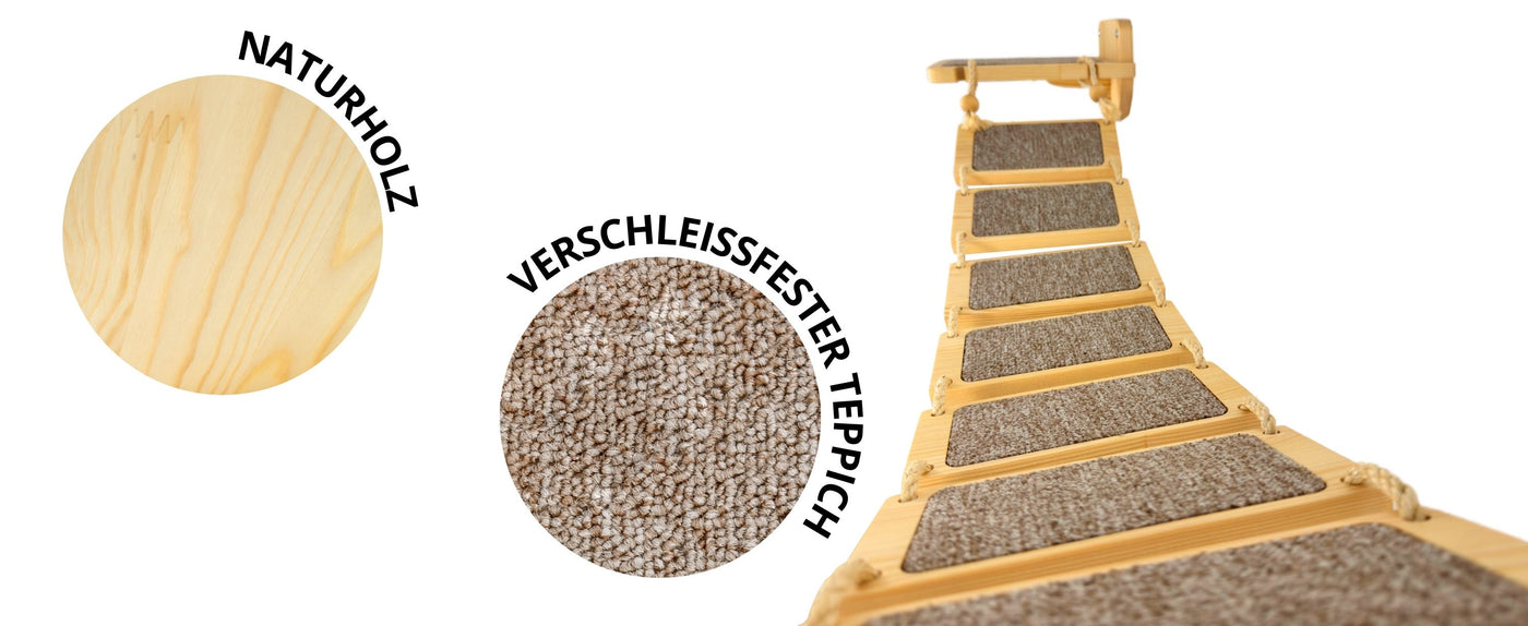 katzen kletterwand