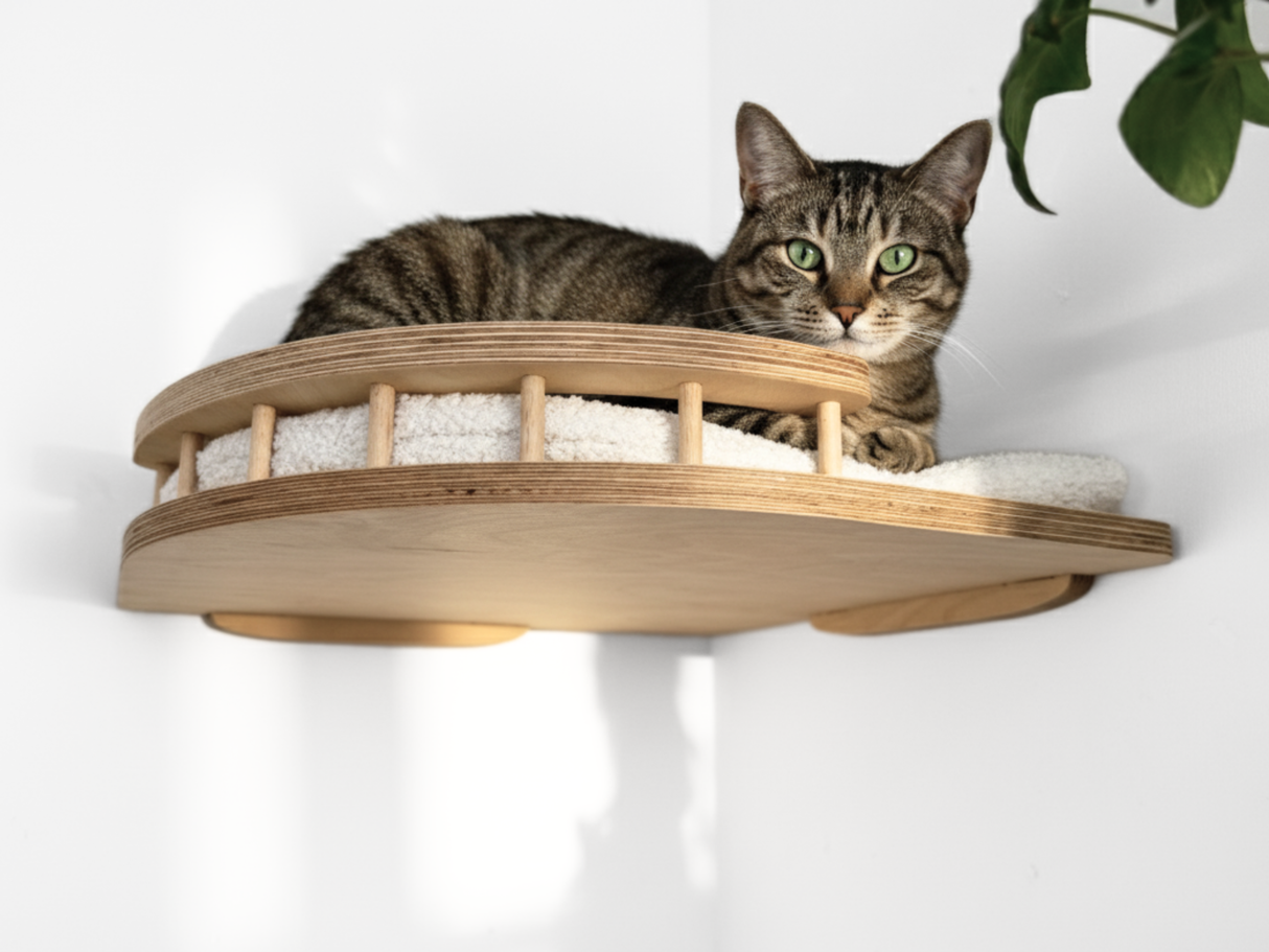Cat lounging on a wooden cat shelf with white cushion against a white wall.