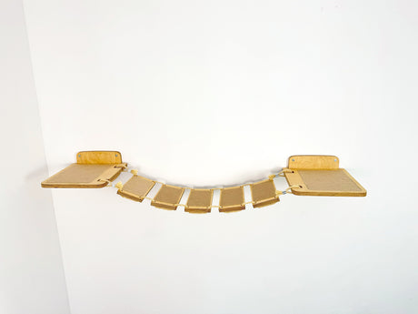 cat rope bridge