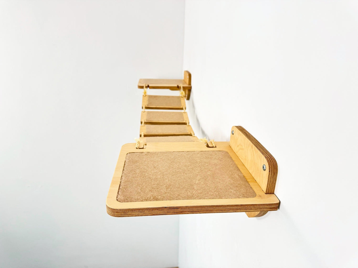 cat bridge wall