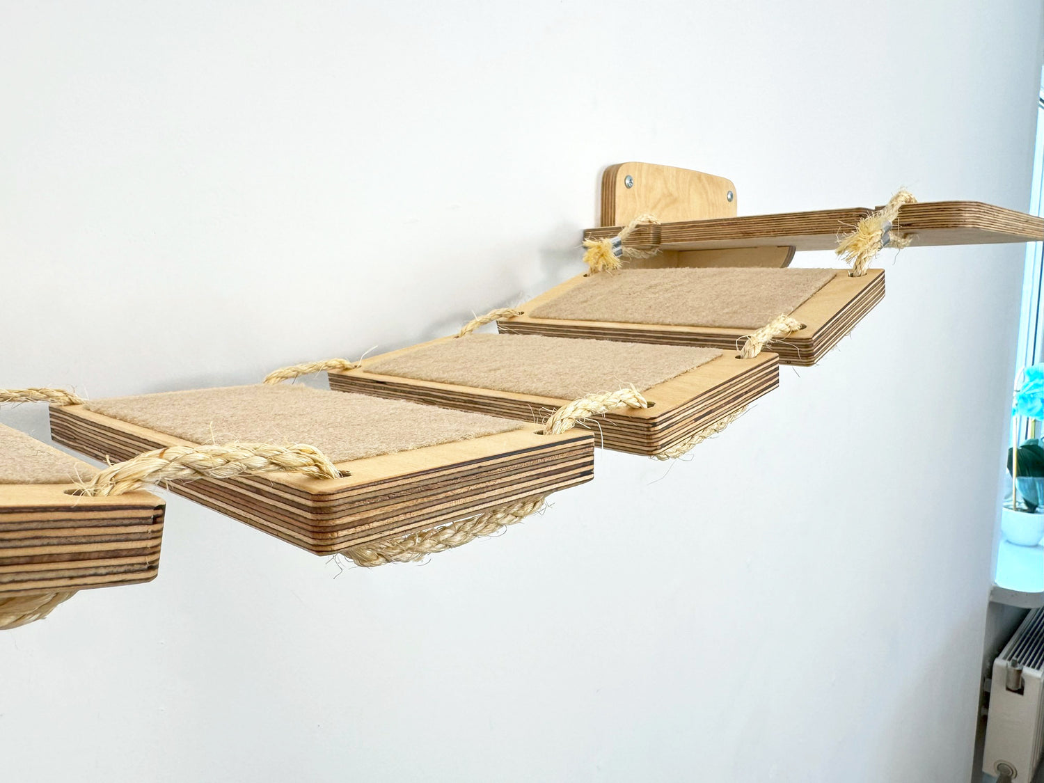 kitty bridge