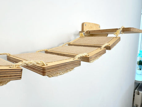 kitty bridge