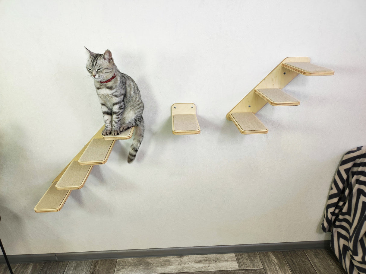 Complete cat step set for creating vertical playgrounds and enriching indoor environments.
